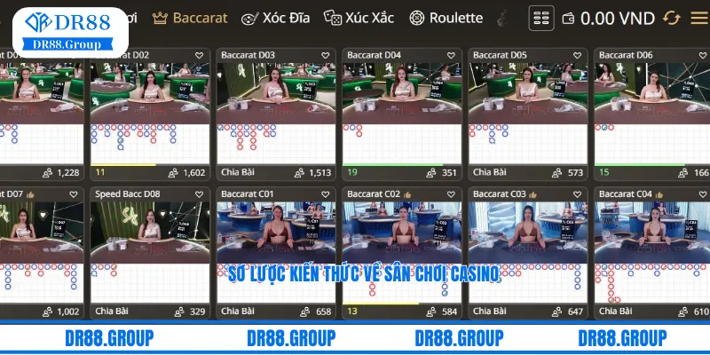 Sơ lược kiến thức về sân chơi casino DR88