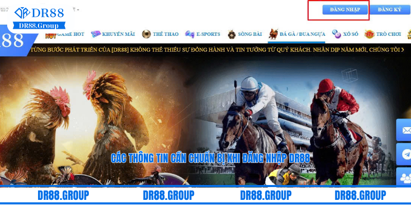 Các thông tin cần chuẩn bị khi đăng nhập DR88