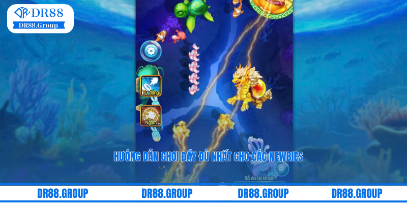 Hướng dẫn chơi đầy đủ nhất cho các newbies